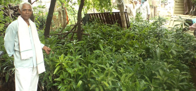 Wadi